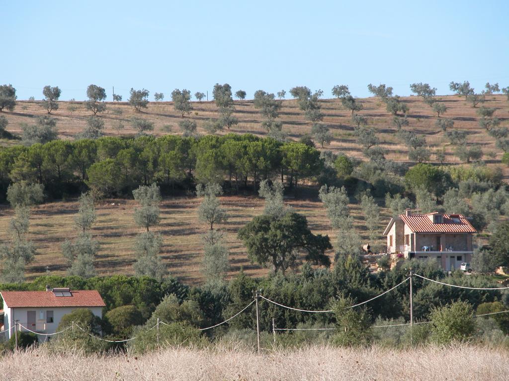 Agriturismo San Lino-Gilberto Massa Marittima Ngoại thất bức ảnh