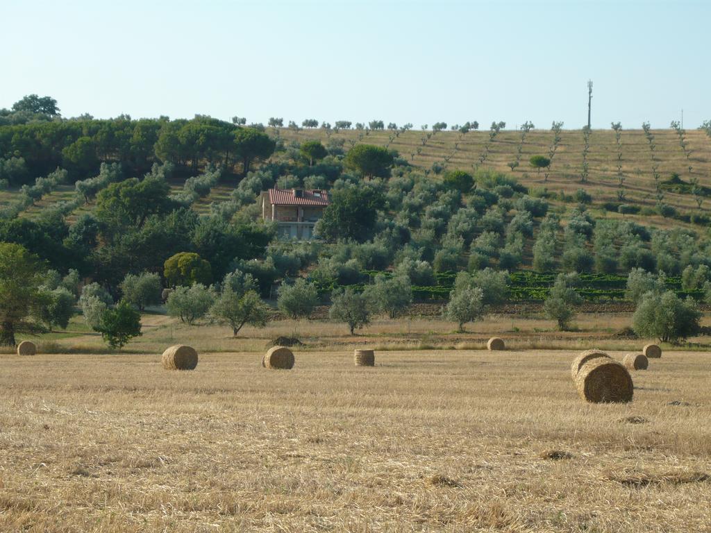 Agriturismo San Lino-Gilberto Massa Marittima Ngoại thất bức ảnh