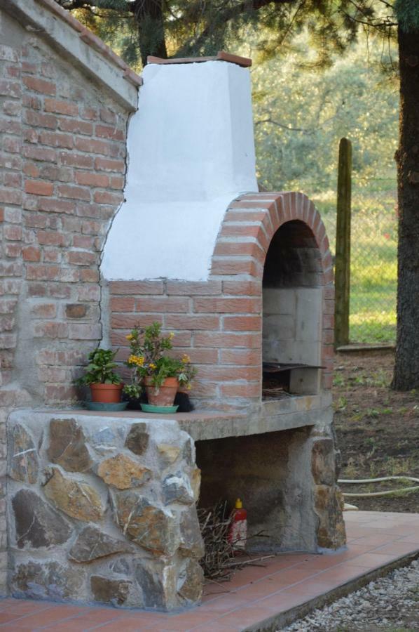 Agriturismo San Lino-Gilberto Massa Marittima Ngoại thất bức ảnh